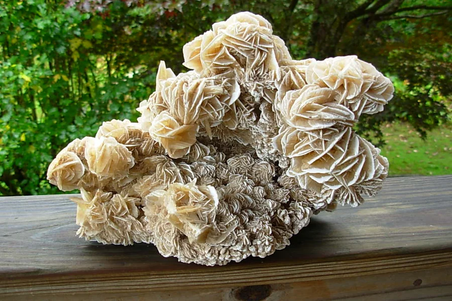 Desert Rose Rock Arizona