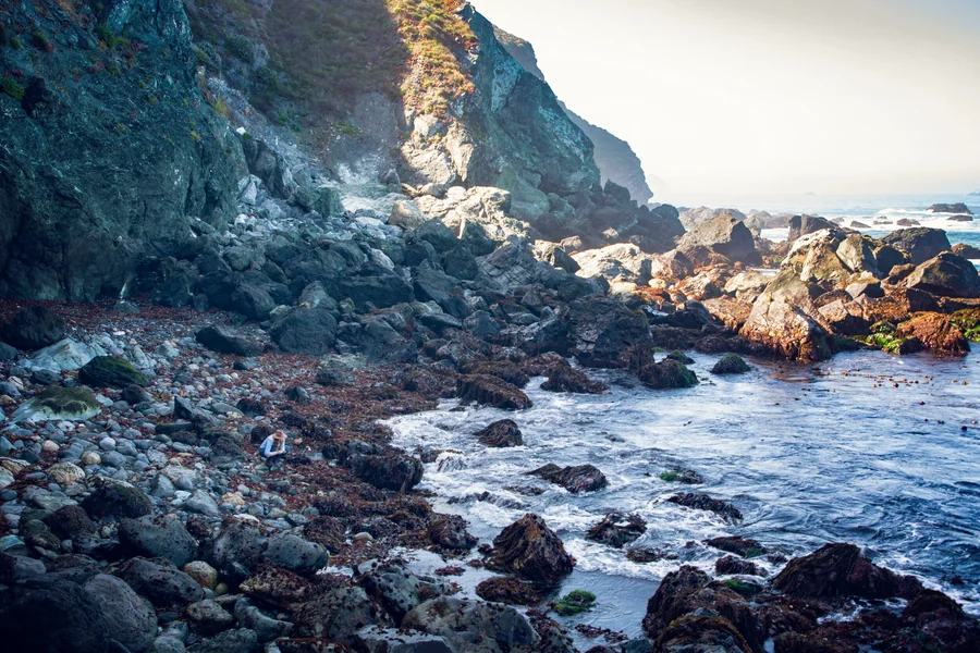 Find Jade in California